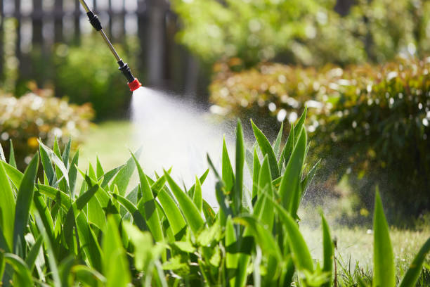 Tamper-Resistant Bait Stations for Rodents in George