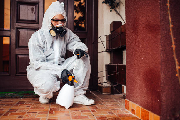 Attic and Crawl Space Rodent Treatment in George