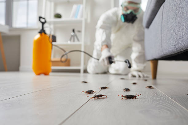 Commercial Rodent Management in George
